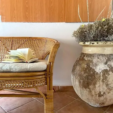 Tatil Evi Kokos Dilináta