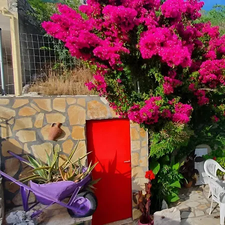 Tatil Evi Kokos Dilináta